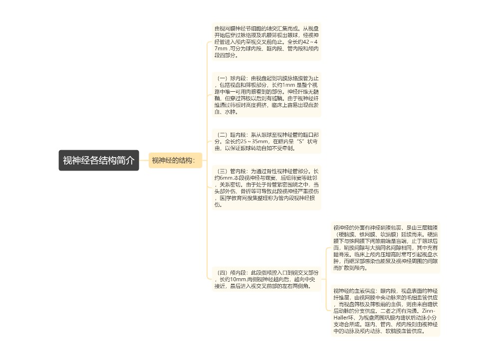 视神经各结构简介